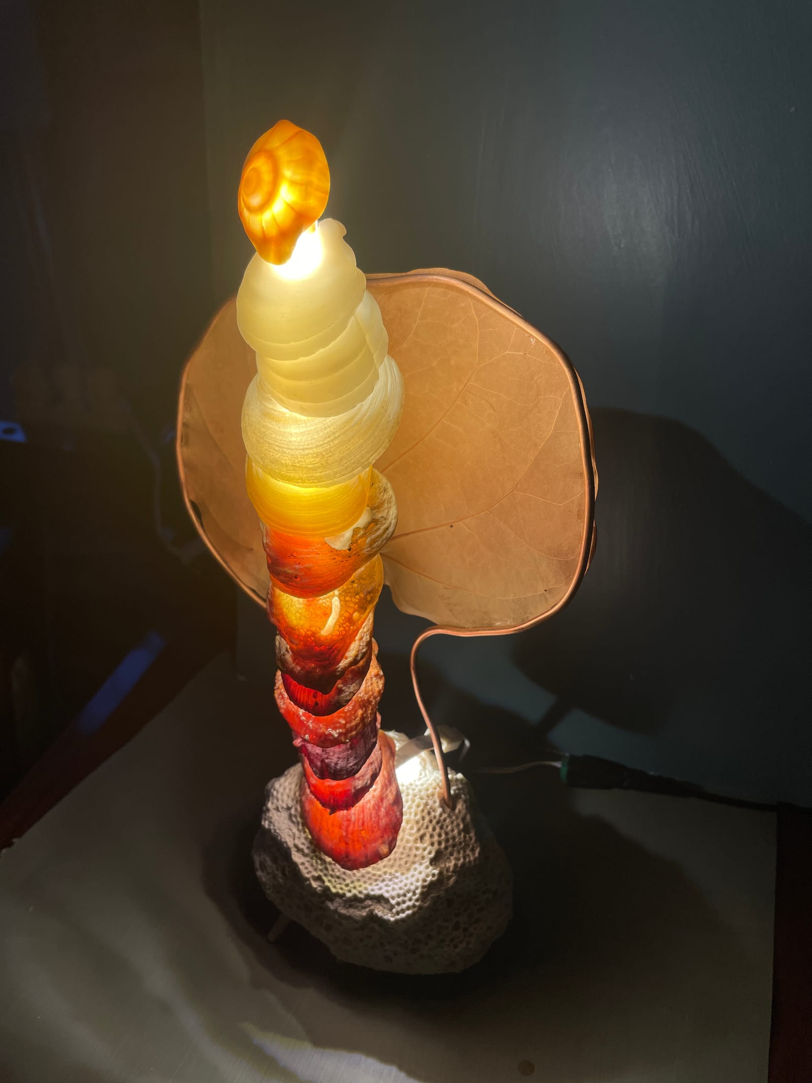 ShellLamp2, artwork view 3