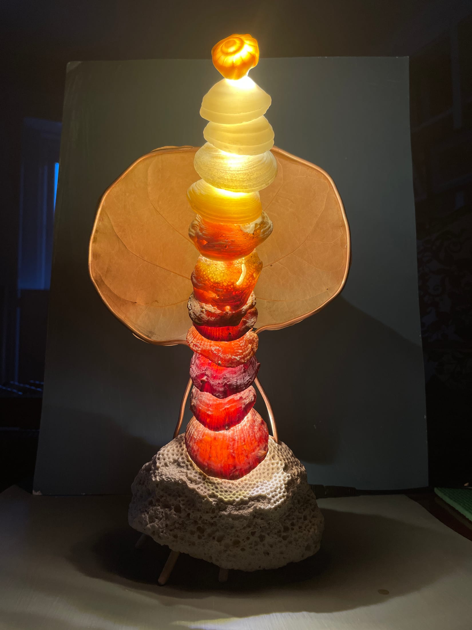 ShellLamp2, artwork view 4