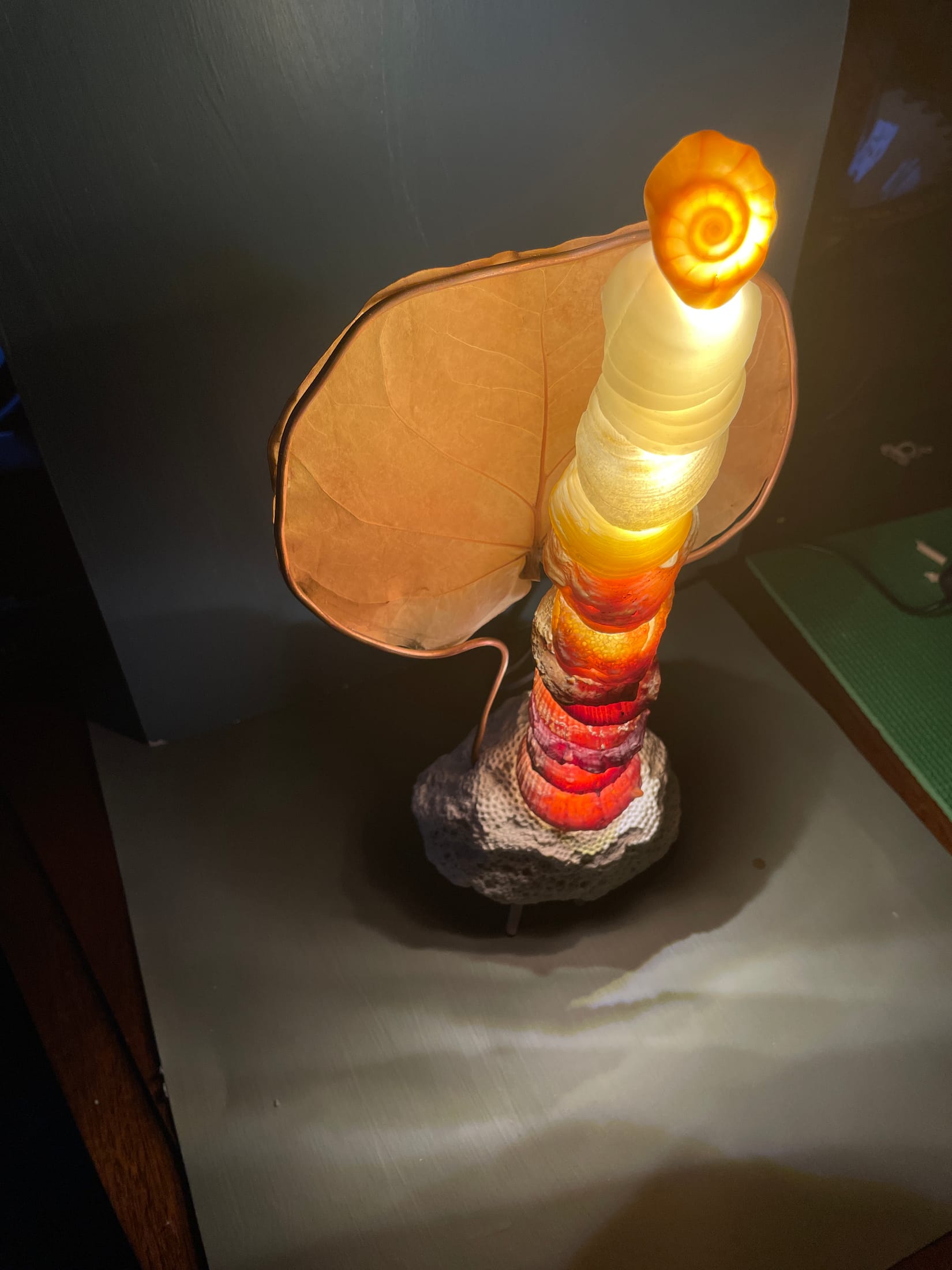 ShellLamp2, artwork view 5