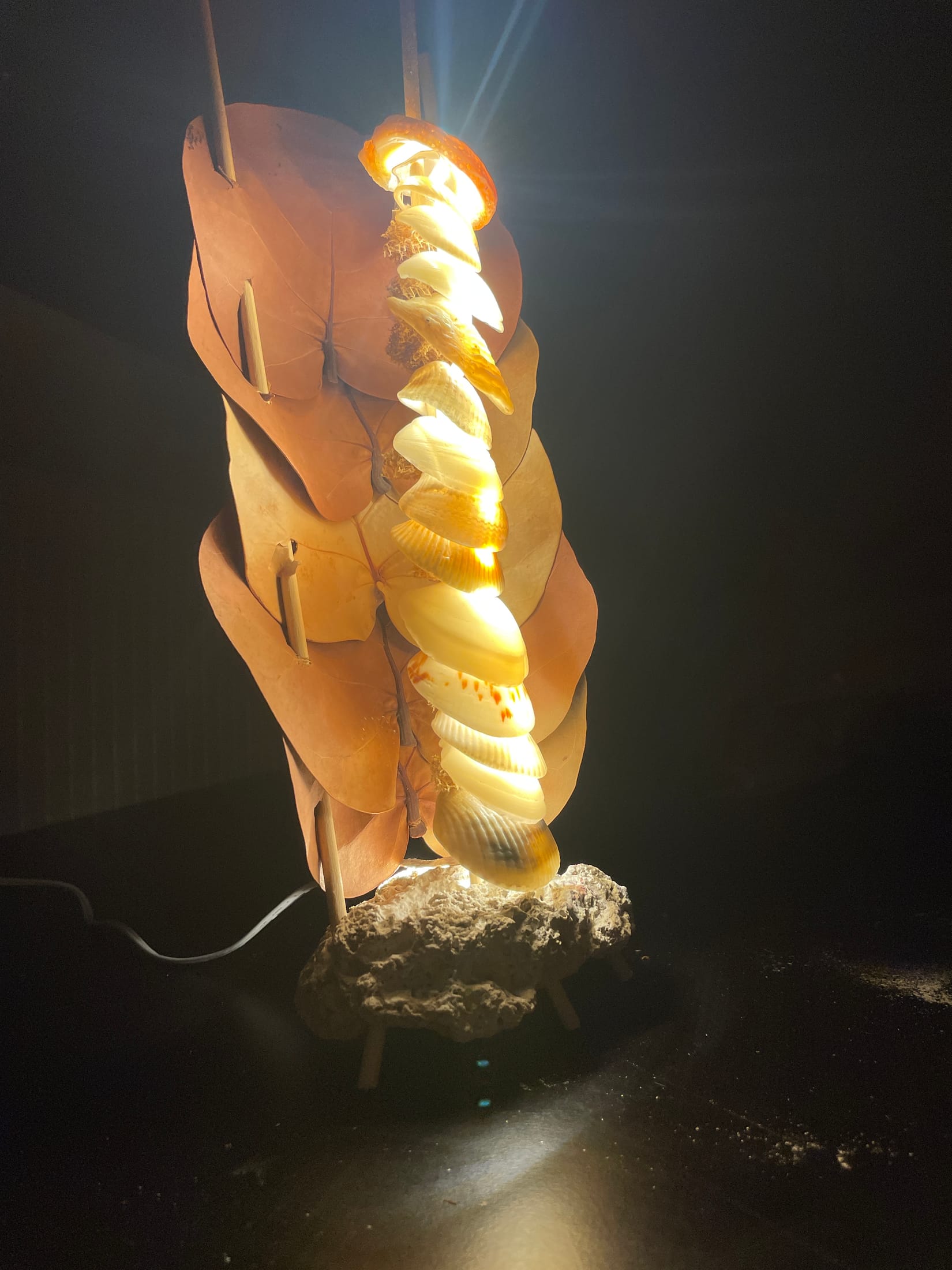 ShellLamp, artwork view 3
